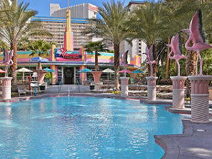 Flamingo Las Vegas Pool: Go Pool & Beach Club Pool